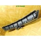 Frontgrill Kühlergrill Citroen C8 148419307715 1484199477D Farbcode KNB Blau