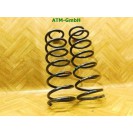 Feder Federn x 2 Stück hinten Citroen C8