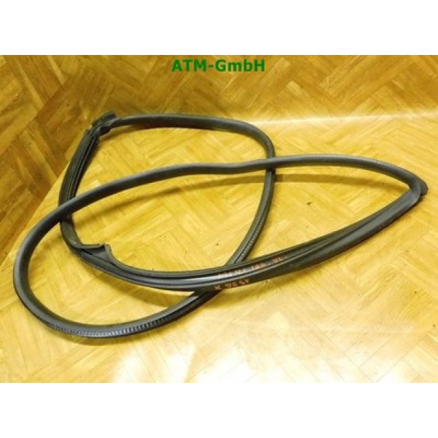 Türdichtung vorne links Mini Cooper R50 Fahrerseite