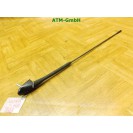 Antenne KFZ Fahrzeugantenne Toyota Aygo 5 türig