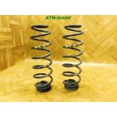 Feder Federn x 2 Stück hinten VW Polo 9N3 5 türig