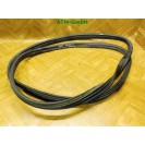 Türdichtung Toyota Aygo B1