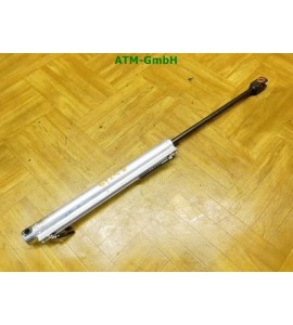 Verdeckdämpfer Hydraulikdämpfer rechts VW EOS Cabrio 1919-QJQ-B