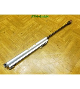 Verdeckdämpfer Hydraulikdämpfer links VW EOS Cabrio L9L9-QJ0-D