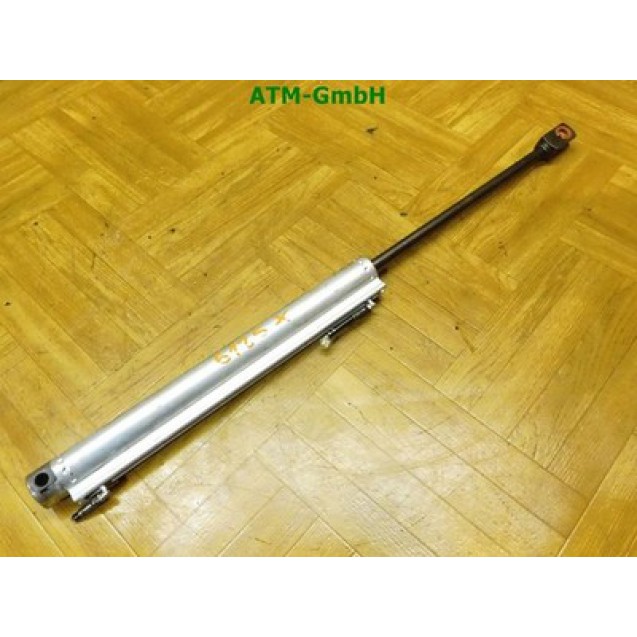 Verdeckdämpfer Hydraulikdämpfer links VW EOS Cabrio L9L9-QJ0-D