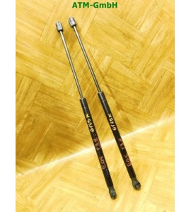 Heckklappendämpfer Gasdruck Gasdämpfer x 2 Stück hinten VW EOS Cabrio 1Q0827550B