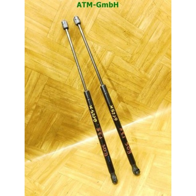 Heckklappendämpfer Gasdruck Gasdämpfer x 2 Stück hinten VW EOS Cabrio 1Q0827550B