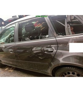 Tür hinten links Audi A3 8PA Farbcode LZ7L Grau Lavagrau Perleffekt