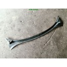 Windlauf Regenabweiser Windkasten Windabweiser Seat Altea 5P0853185C