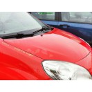Motorhaube Renault Twingo 2 II Farbcode DV727 Rot Rouge VIF