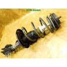Federbein Pralldämpfer Stoßdämpfer vorne rechts Ford KA 2 II Beifahrerseite