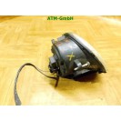 Nebelscheinwerfer NSW NSL links Renault Twingo 2 II Fahrerseite Valeo 89208401