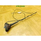 Fahrzeugantenne Antenne hinten Renault Twingo 2 II