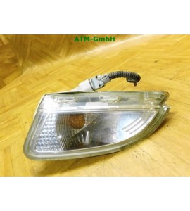 Blinker Blinkleuchte links Renault Twingo 2 II Fahrerseite