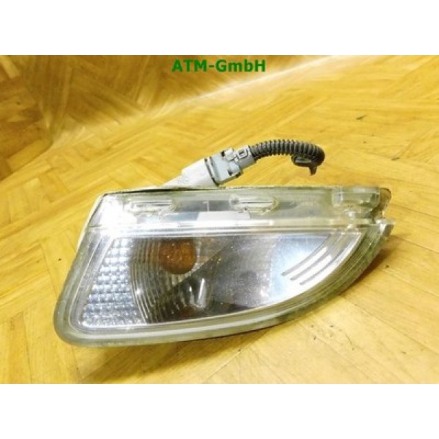 Blinker Blinkleuchte links Renault Twingo 2 II Fahrerseite