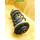 Federbein Pralldämpfer Stoßdämpfer vorne rechts Citroen Xsara Picasso