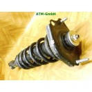 Federbein Pralldämpfer Stoßdämpfer hinten rechts Toyota Corolla Verso