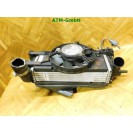 Ladeluftkühler Gebläse Elektrolüfter Ford Focus 3 III CV619L440VC BV618C607SB