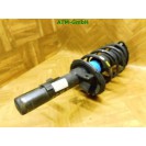 Federbein Pralldämpfer Stoßdämpfer vorne rechts Ford Focus 3 III 8V6118045AAC