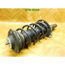 Federbein Pralldämpfer Stoßdämpfer vorne links VW Polo 9N3 Fahrerseite