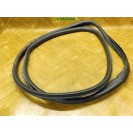 Türdichtung vorne links Volvo C30 3 türig Fahrerseite