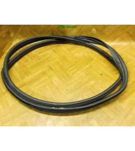 Türdichtung vorne links Ford KA 2 II Fahrerseite