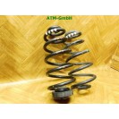 Feder Federn x 2 Stück hinten Audi A4
