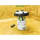 Kraftstoffpumpe Benzinpumpe Citroën C3 Pierburg 7.00468.76.0