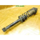 Federbein Pralldämpfer Stoßdämpfer hinten links VW Polo 6N2 Fahrerseite