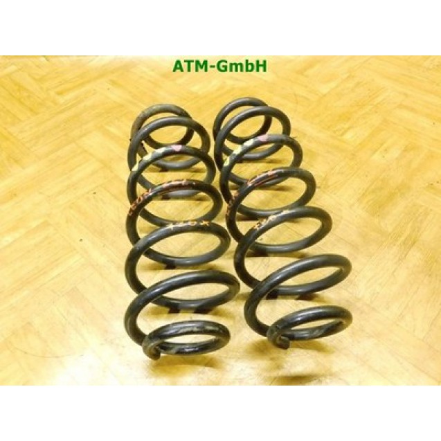Feder Federn x 2 Stück hinten Seat Leon 1P1
