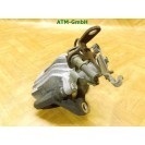 Bremssattel hinten links Seat Leon 1P1 Fahrerseite 38