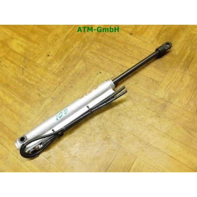 Verdeckdämpfer Hydraulikdämpfer Peugeot 307 CC 1539-030-F LA177691CEL3