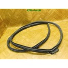 Türdichtung vorne rechts Mini R56 Beifahrerseite