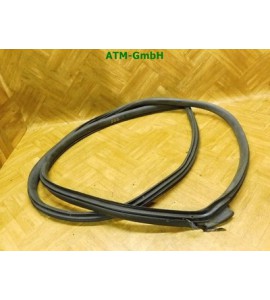 Türdichtung vorne rechts Mini R56 Beifahrerseite