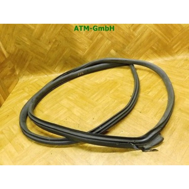 Türdichtung vorne rechts Mini R56 Beifahrerseite