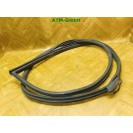 Türdichtung vorne rechts Mini R56 Beifahrerseite