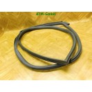 Türdichtung vorne rechts Mini R56 Beifahrerseite