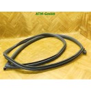 Türdichtung vorne links Mini R56 Fahrerseite