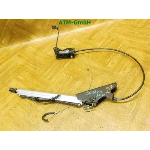 Verdeckdämpfer Hydraulikdämpfer Peugeot 307 CC 1540-030-G 9651004680