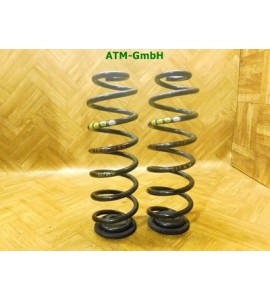 Feder Federn x 2 Stück hinten Seat Altea