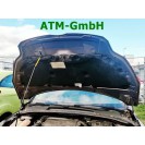 Motorhaube Ford Focus 3 III Farbcode VB Brisbane Braun Metallic