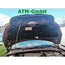 Motorhaube Ford Focus 3 III Farbcode VB Brisbane Braun Metallic