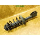 Federbein Pralldämpfer Stoßdämpfer vorne links Renault Clio 2 II Fahrerseite