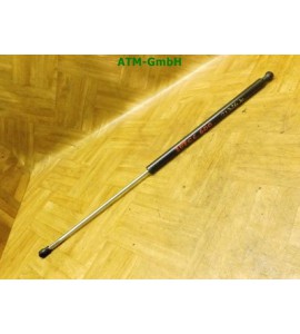 Dämpfer Heckklappe Gasdruckfeder 1 Stück hinten Peugeot 207 CC 9686030580