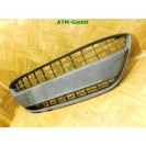 Frontgrill Kühlergrill Ford Fiesta 6 VI plastal 8A6117B968AAW
