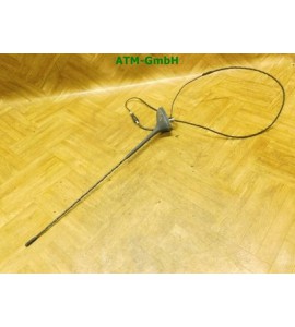 Antenne KFZ Fahrzeugantenne Peugeot 207 SW 9665549680