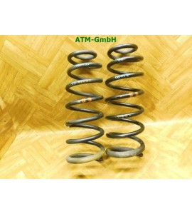 Feder Federn x2 Stück hinten Fiat Scudo