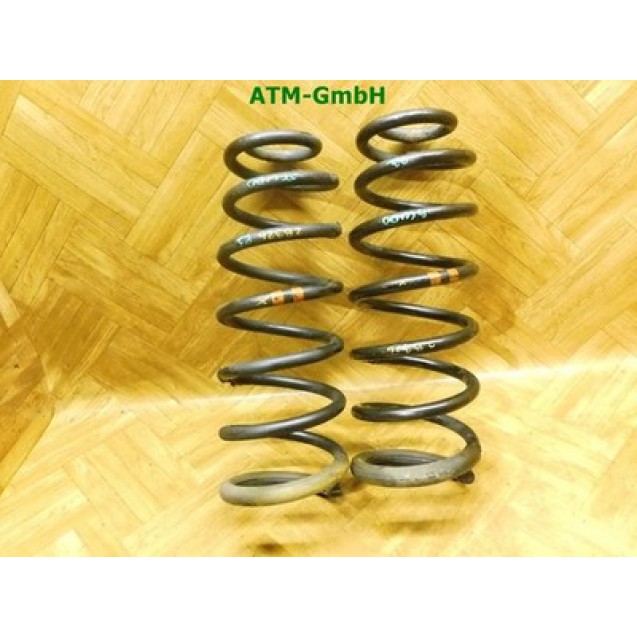 Feder Federn x2 Stück hinten Fiat Scudo