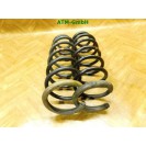 Feder Federn x2 Stück hinten Fiat Scudo