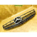 Frontgrill Kühlergrill Mercedes Benz A-Klasse W169 A1698881260